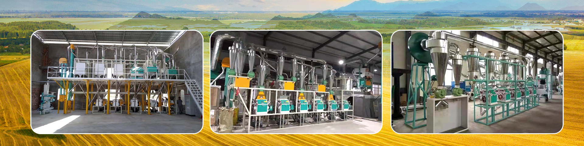 山東泗水鑫峰面粉機(jī)械有限公司